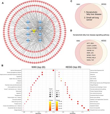 Exploring Ganweikang Tablet as a Candidate Drug for NAFLD Through Network Pharmacology Analysis and Experimental Validation